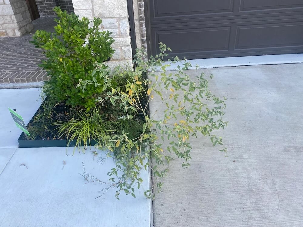 Homeowners get pretty angry when they feel like their HOA's stifling their ability to enact eco-friendly landscaping practices.