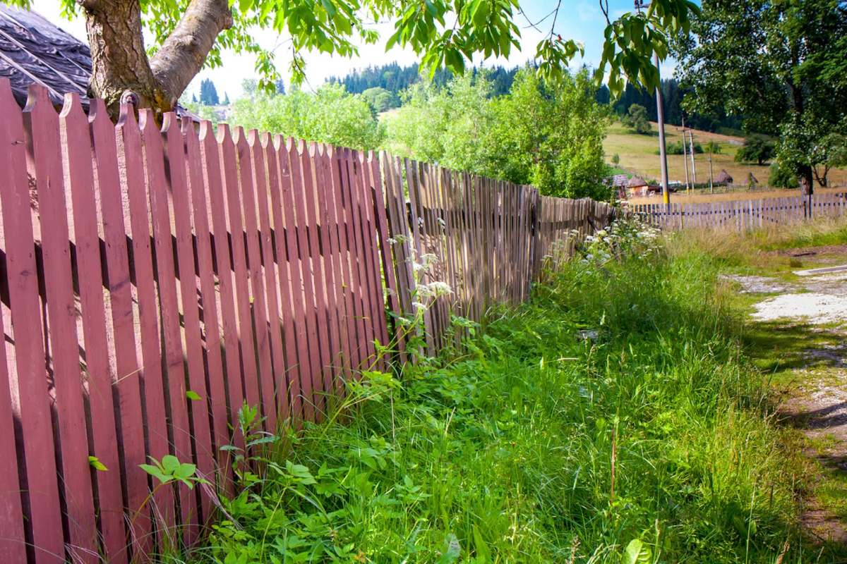 One Reddit user and their husband have faced the brunt of one pre-teen's disrespect. Their young neighbor is destroying their lawn.