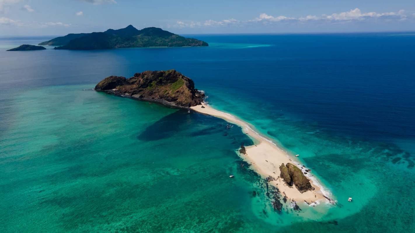 The waters of Mayotte, France, have become home to a hybrid dolphin, blending the traits of two different species.