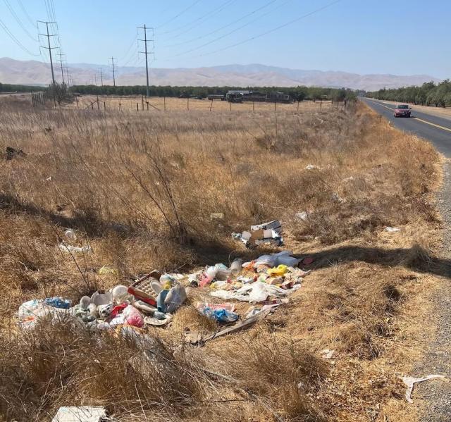 Redditor and litter pickup extraordinaire, Andy Wang, aka Pengweather or Peng, announced his presence in Modesto by revealing he'd picked up nine bags of trash on a local road.