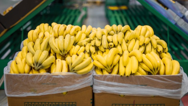 The startup Banana Fabric is using inedible banana plant's waste to create textiles and fertilizer.