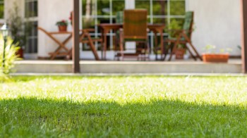 A Reddit user shared their surprising experience with tree removal and asked for advice from the r/treelaw community.