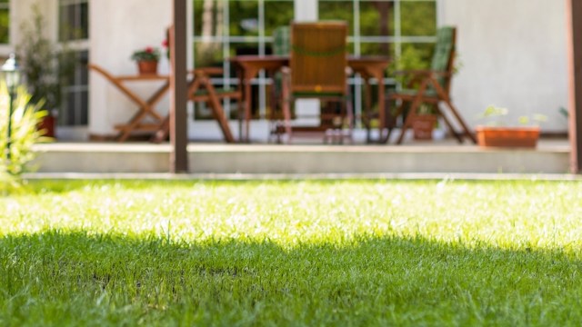 A Reddit user shared their surprising experience with tree removal and asked for advice from the r/treelaw community.