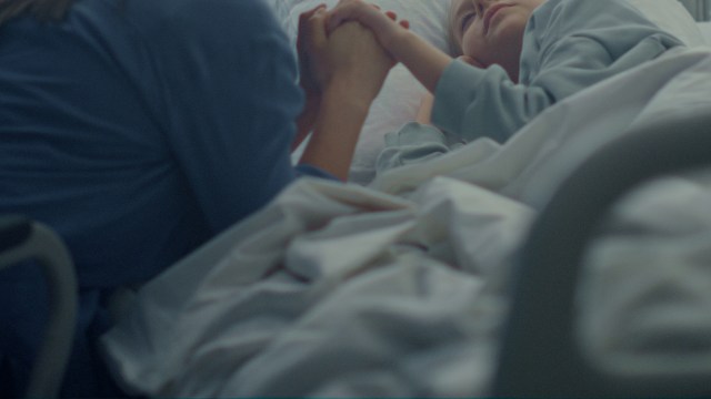 Health officials in the Czech Republic are concerned as the number of cases of tick-borne Lyme disease has reached a record high.