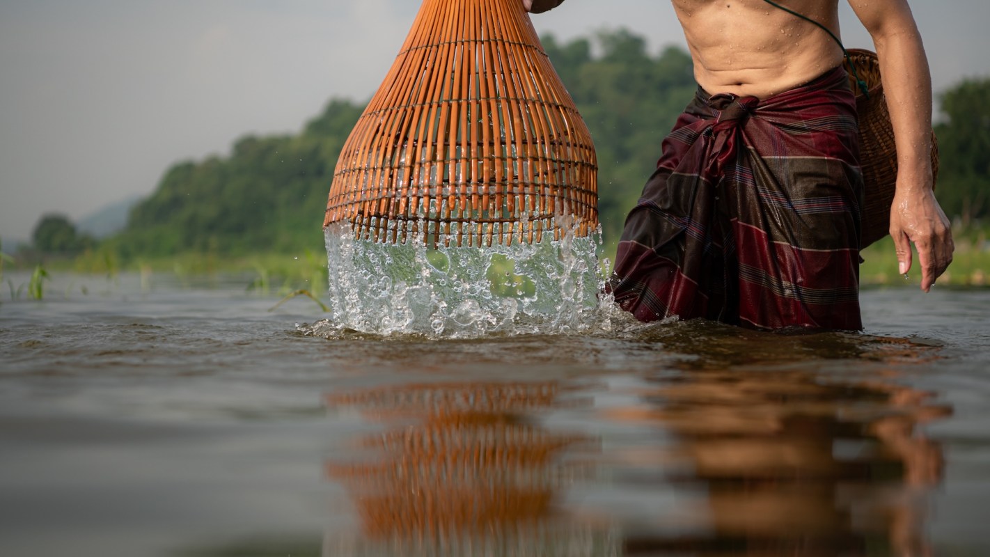 Researchers at Nagaland University in Lumami, India, recently collaborated with local bamboo weavers to design a low-cost fishing trap.