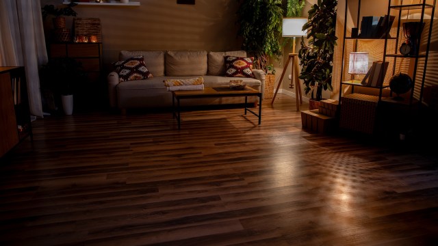 Commenters in the r/whatsthissnake subreddit identified a Russell's viper in one Redditor's living room in India’s Jammu and Kashmir territory.