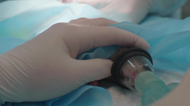 The Johannesburg Wildlife Veterinary Hospital has officially saved over 200 pangolins.