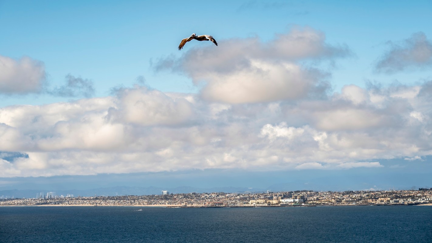 Birdwatchers on a small seabird tour off California's northern coast recently experienced the thrill of a lifetime, as the group spotted a waved albatross.