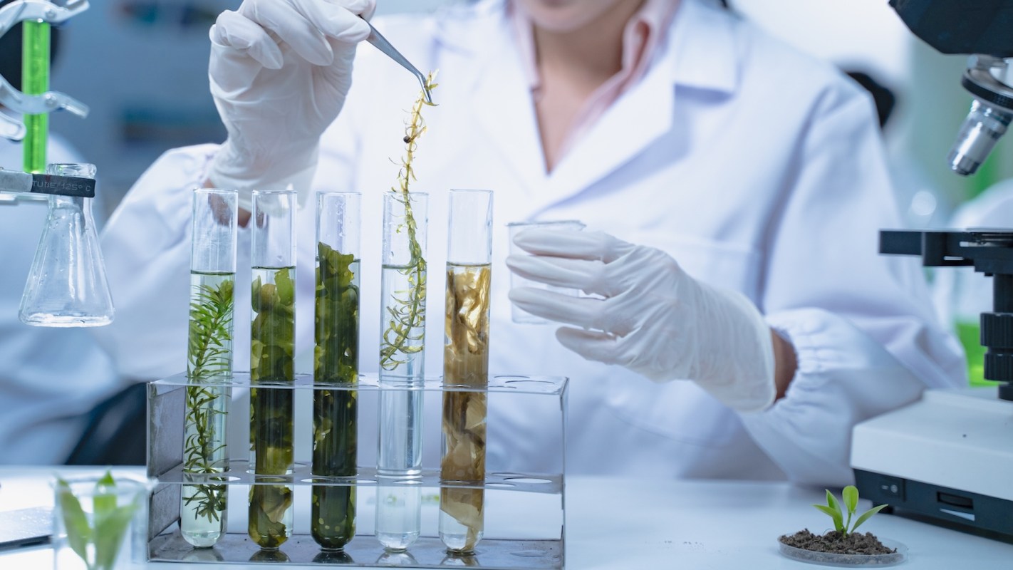 This high school student won the 2025 Gloria Barron Prize for Young Heroes for her innovative seaweed project.