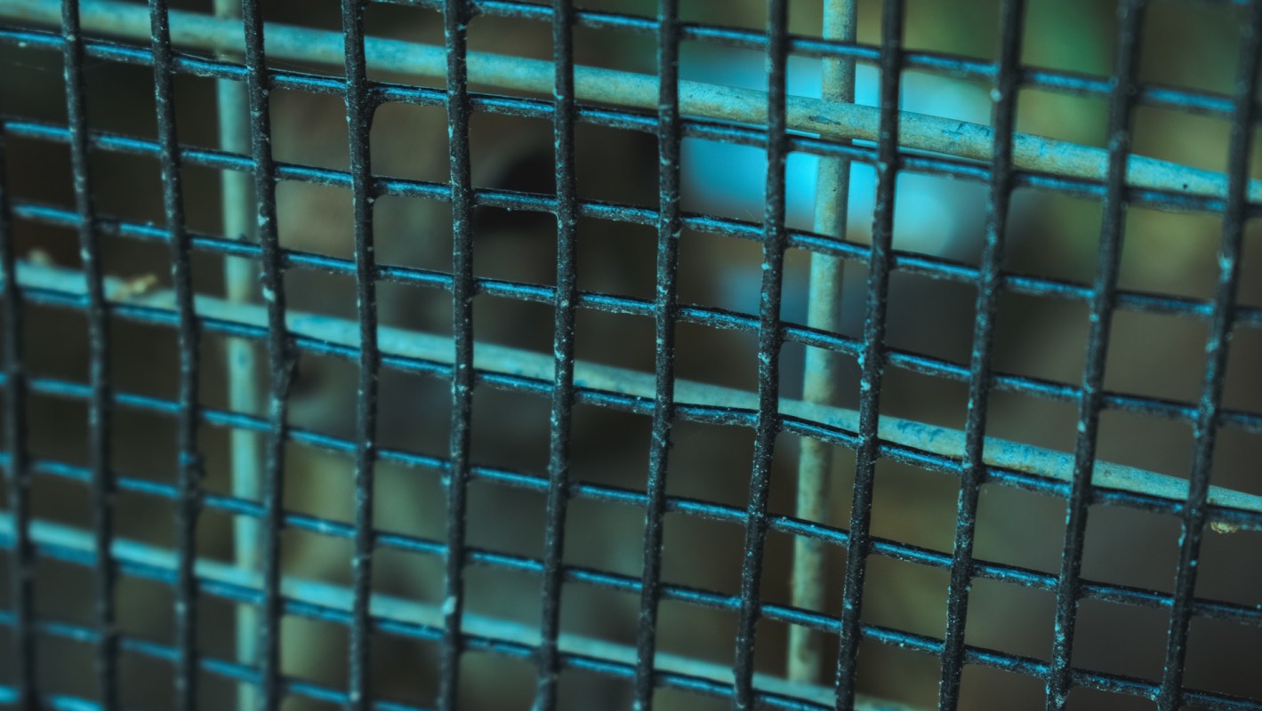 Authorities in Los Angeles discovered an illegal wildlife trafficking operation and seized items from vulnerable species.