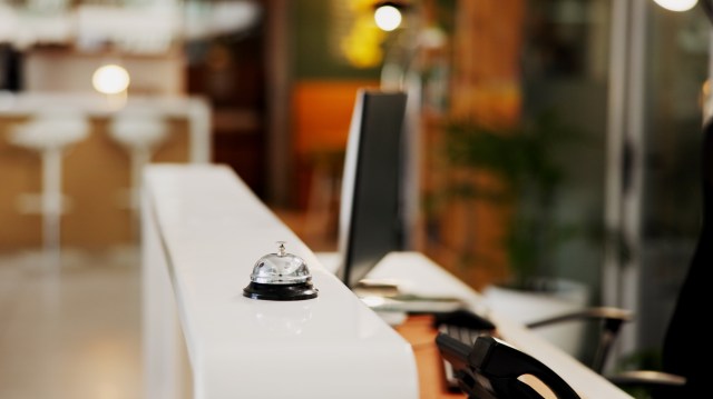 Guests at a Days Inn in Gatlinburg, Tennessee, were stunned when a black bear nonchalantly foraged for food in the lobby.