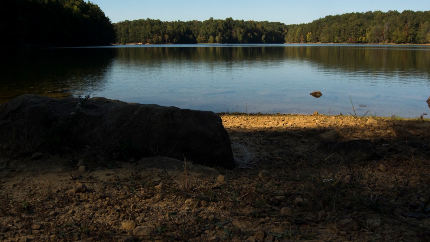 Officials were able to safely remove a large, dinosaur-like alligator snapping turtle that was surprisingly spotted at a Washington beach.