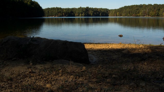 Officials were able to safely remove a large, dinosaur-like alligator snapping turtle that was surprisingly spotted at a Washington beach.