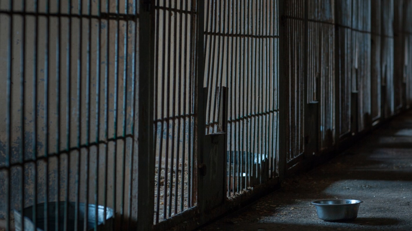 A judge in Posadas, Misiones, ordered authorities to conduct a raid on a local veterinary clinic with the help of OHANA Wildlife Conservation Center, which provided technical support.