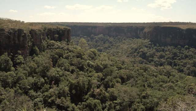One man was forced to pay a huge fine after being charged with illegal deforestation in Brazil.
