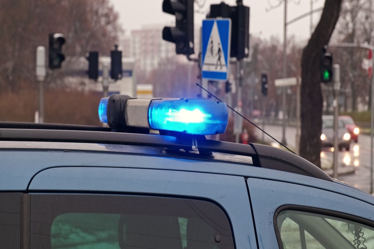 When questioned for an act of illegal dumping tied to his vehicle, Jed Charlton claimed he "could not remember" having driven it.