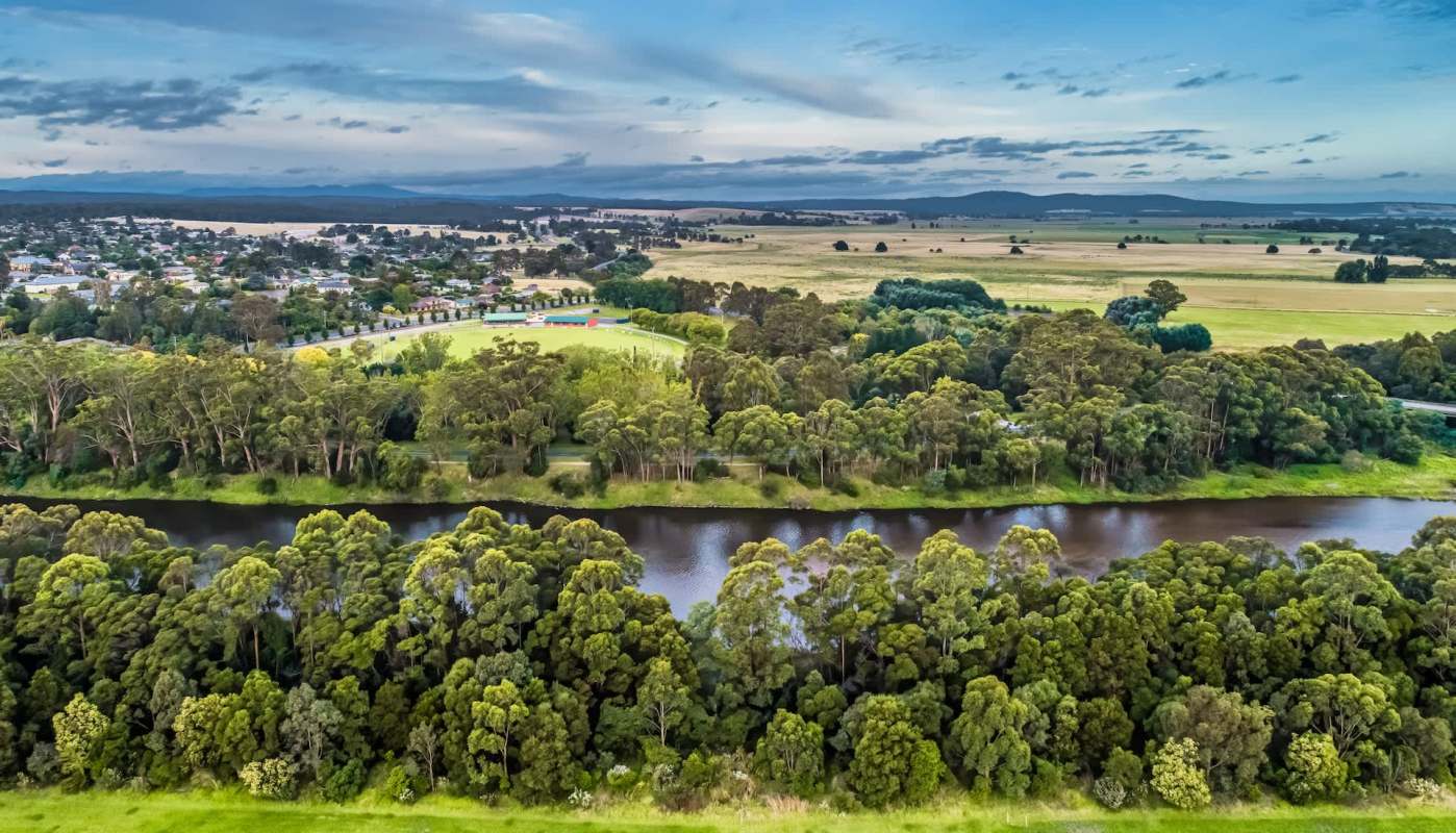 Illegal logging has serious consequences. This is what happened to one man caught destroying trees in a protected forest.