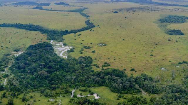 The Trinidad and Tobago Police Service carried out an operation targeting illegal quarrying, leading to 19 arrests.