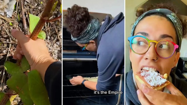 A forager on TikTok is showing how one of North America's most destructive plants, Japanese knotweed, can actually be turned into a tasty treat.