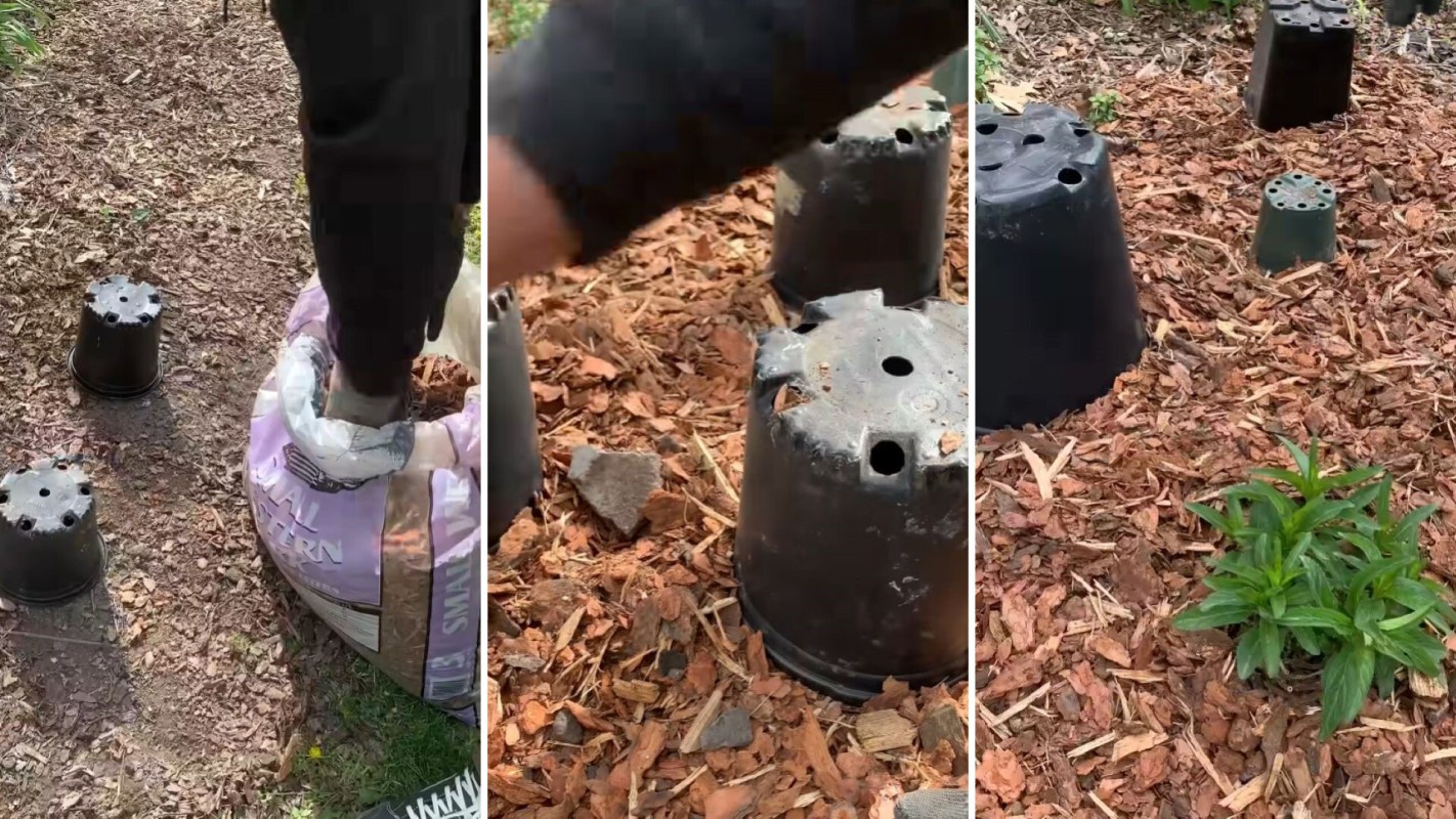 If you're dreading spring mulching because you don't want to bury your emerging perennials, this clever hack is for you.