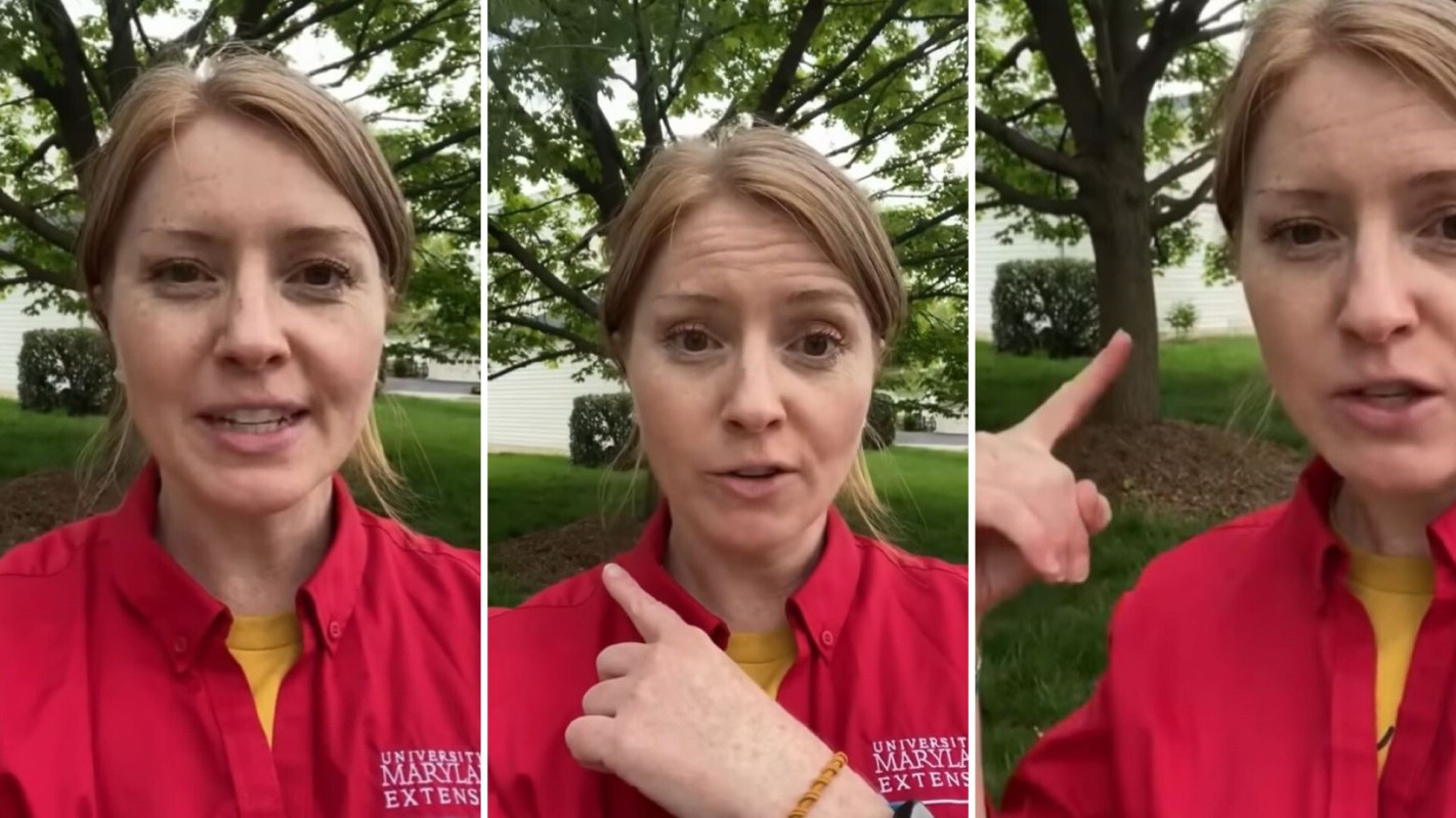 There are many reasons to say no to mulch volcanoes, according to one expert from the University of Maryland.