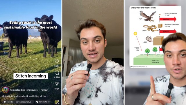 Gen-Z for Change is a TikTok account that's trying to set the record straight about sustainability and red meat.