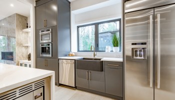 Gas stoves are highly dangerous for air quality and health, yet remain popular among many Americans.