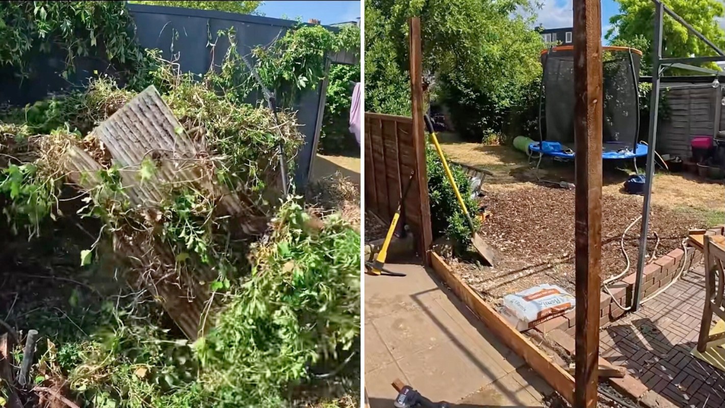 Invasive plants can be a nightmare for homeowners. One TikTok group shared a video of removing tons of invasive ivy to help an elderly homeowner.