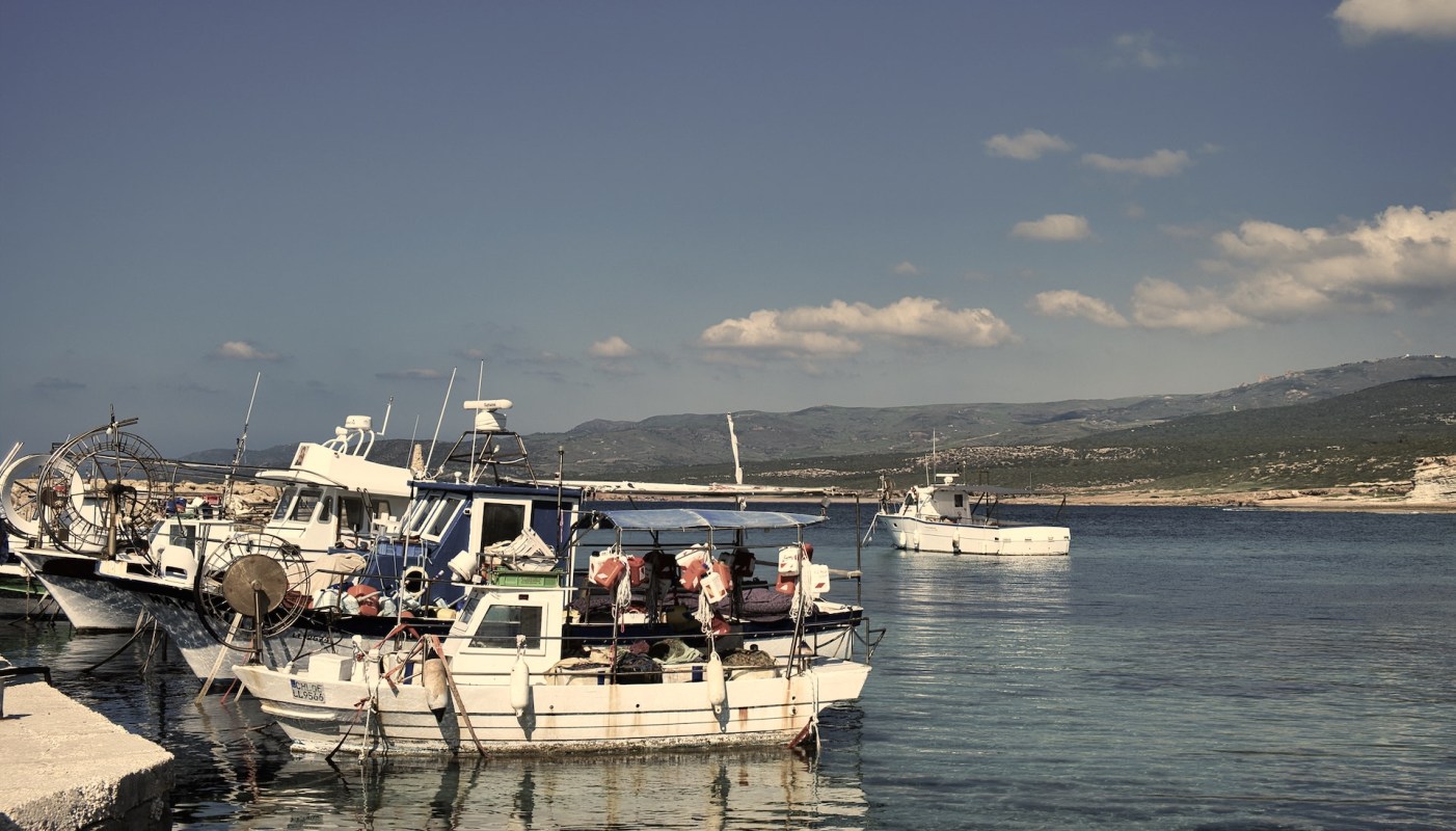 Sicilian fishermen are struggling to operate their businesses because of an invasive seaweed clogging up the Mediterranean.