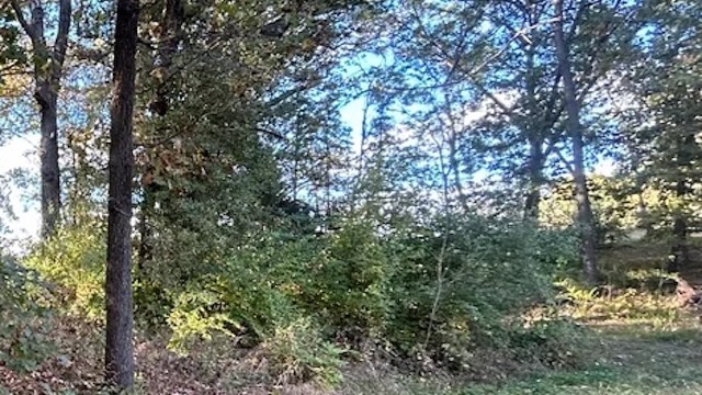 One Redditor shared the satisfying results of removing invasive species from a plot of land, thanking the community for their support.