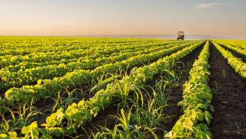 Researchers from the University of Manchester are using AI and satellite imagery to track agricultural water use, focusing on irrigation in Ghana.