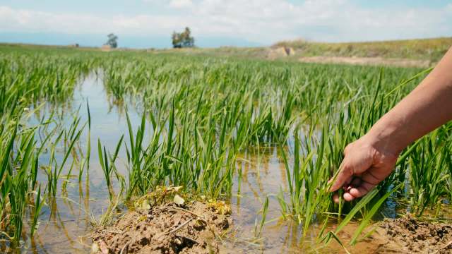 Just transitions can help communities move away from polluting industries – but they get less than 3% of international climate aid.