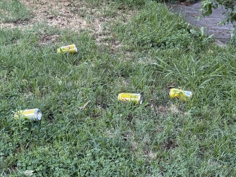 A Redditor shared their frustrating experience with their neighbor's kids throwing trash in their yard — and how they're at a loss for what to do.