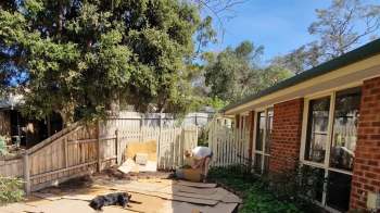 One gardener shared the remarkable transformation of their own yard, reminding Reddit users that the best way to create a glorious garden is through rewilding.