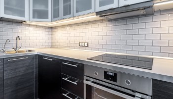 A home cook shared an honest review of their new plug-in induction stove, describing its benefits compared to a gas alternative.