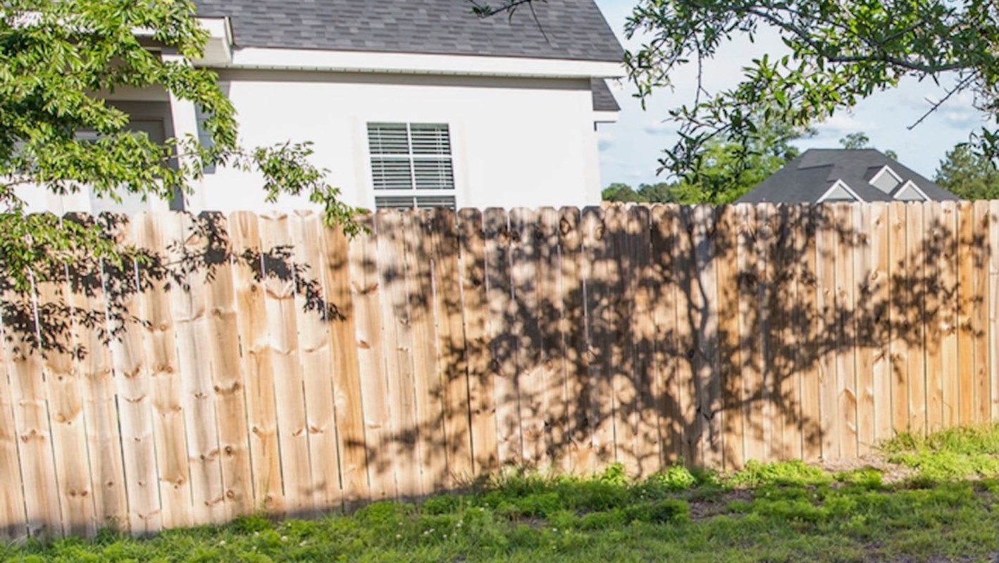 One homeowner took to Reddit to identify the kudzu smothering a fence, and users gave them advice on removing it.