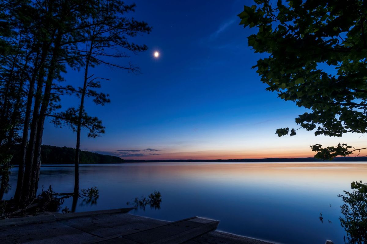 The American bullfrog is threatening local ecosystems near mountainous lakes and rivers in Montana.