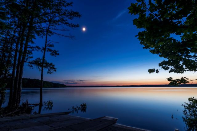 The American bullfrog is threatening local ecosystems near mountainous lakes and rivers in Montana.