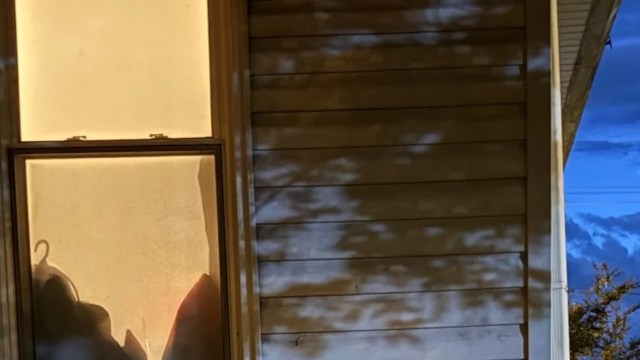 A homeowner was stunned to come home and find that a beloved holly tree in their yard had been cut down, possibly by their neighbor's landlord.