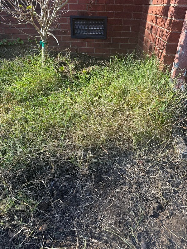 This Redditor needed advice on how to deal with crabgrass after they removed landscape fabric from their flower bed.