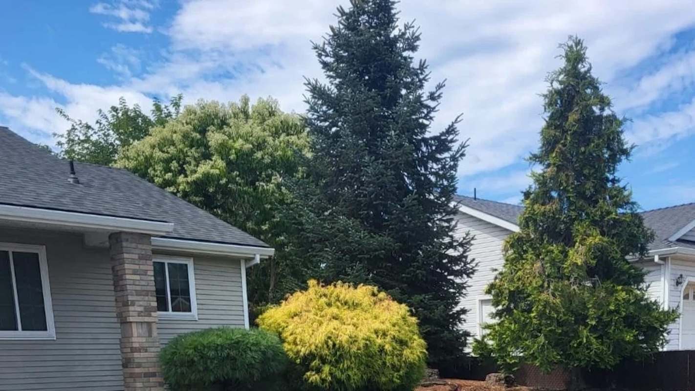 One Redditor raised concerns about their lawn, which was covered in landscape fabric.