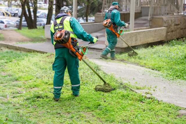 One Redditor shared how their local landscaping company repeatedly trespassed by littering yards with unwanted paper ads.