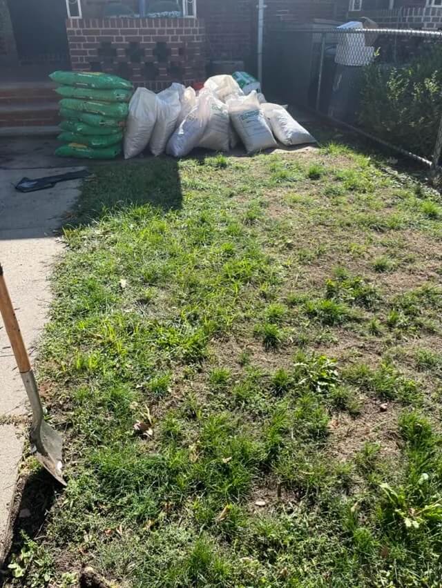One Queens homeowner's lawn transformation showed how easy and eco-friendly it can be to replace grass with a pollinator garden.