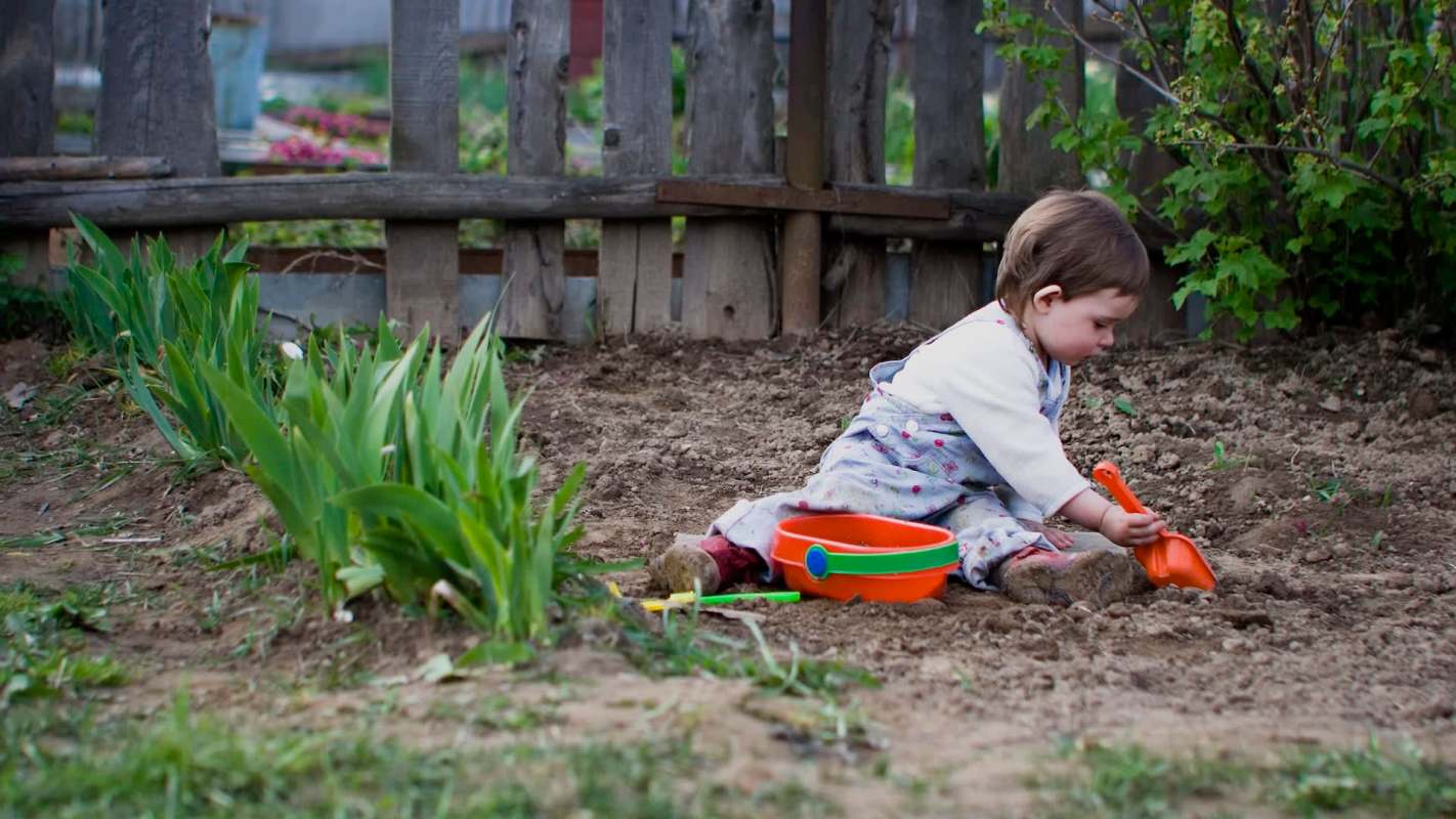 A new study mapping soil contamination across Chicago reveals a troubling link between soil's lead levels and childhood lead poisoning.