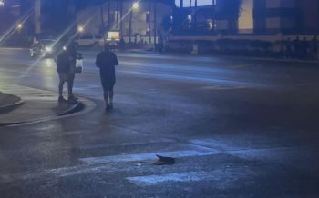 A Redditor posted a photo of the Las Vegas Sphere and titled the post, "Light pollution from The Sphere in Las Vegas."