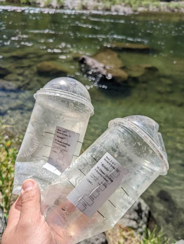 A hiker called out a litterbug for dumping plastic Starbucks' cups in the Okanogan-Wenatchee National Forest.