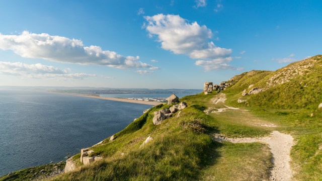 The little tern is the UK's smallest and most threatened seabird.