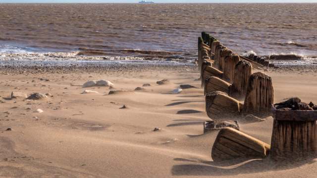 The last breeding colony of little terns in Yorkshire at the Beacon Lagoons enjoyed a huge upturn in breeding pairs for 2025.