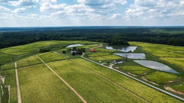 Bayer has signed a memorandum of understanding with agricultural nutrition company DSM-Firmenich to use its Sustell software to track the environmental footprint of livestock.