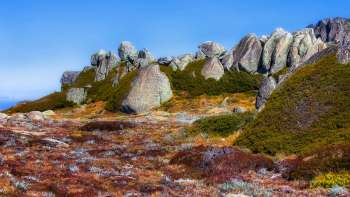 A trail camera set up in Australia's Kosciuszko National Park to help track feral cats also picked up images of a long-footed potoroo.